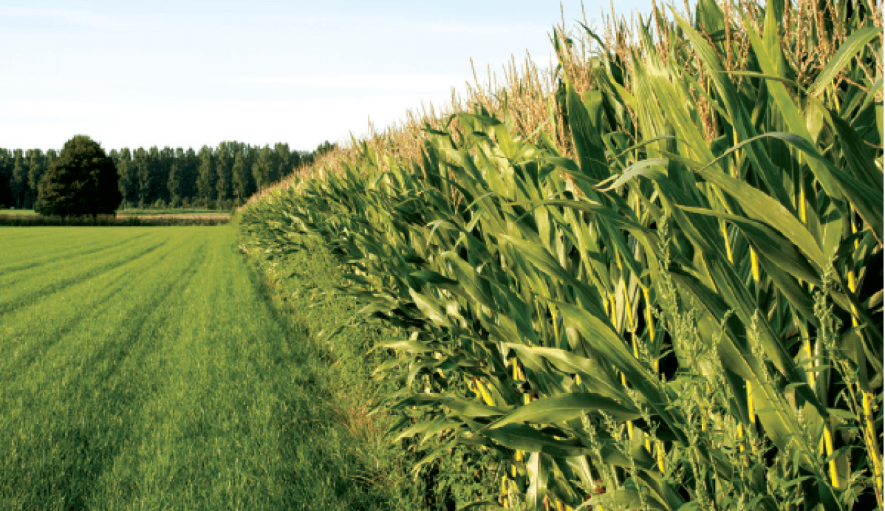 Chargé d’affaires itinérant BtoB - Monde agricole F/H